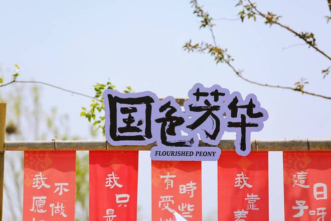 课堂与花海同框是假日休闲观光的好去处pg电子模拟器试玩菏泽冠宇牡丹园自然(图6)