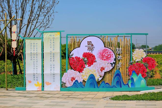 课堂与花海同框是假日休闲观光的好去处pg电子模拟器试玩菏泽冠宇牡丹园自然(图13)